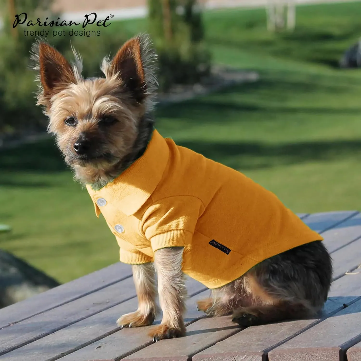 Poo Dog Shi by Paisia Pe - Yeow